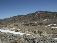 E, Avila, San Juan de Gredos, Senda de la Laguna Grande 34, Saxifraga-Willem van Kruijsbergen