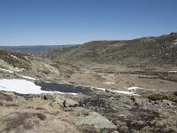 E, Avila, San Juan de Gredos, Senda de la Laguna Grande 36, Saxifraga-Willem van Kruijsbergen