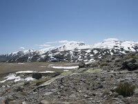 E, Avila, San Juan de Gredos, Senda de la Laguna Grande 37, Saxifraga-Willem van Kruijsbergen