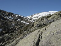 E, Avila, San Juan de Gredos, Senda de la Laguna Grande 4, Saxifraga-Willem van Kruijsbergen