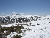 E, Avila, San Juan de Gredos, Senda de la Laguna Grande 42, Saxifraga-Willem van Kruijsbergen