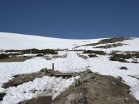 E, Avila, San Juan de Gredos, Senda de la Laguna Grande 46, Saxifraga-Willem van Kruijsbergen