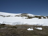 E, Avila, San Juan de Gredos, Senda de la Laguna Grande 51, Saxifraga-Willem van Kruijsbergen