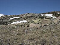 E, Avila, San Juan de Gredos, Senda de la Laguna Grande 54, Saxifraga-Willem van Kruijsbergen
