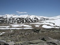 E, Avila, San Juan de Gredos, Senda de la Laguna Grande 56, Saxifraga-Willem van Kruijsbergen