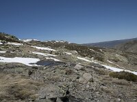 E, Avila, San Juan de Gredos, Senda de la Laguna Grande 57, Saxifraga-Willem van Kruijsbergen