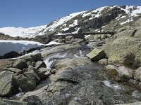 E, Avila, San Juan de Gredos, Senda de la Laguna Grande 58, Saxifraga-Willem van Kruijsbergen