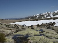 E, Avila, San Juan de Gredos, Senda de la Laguna Grande 64, Saxifraga-Willem van Kruijsbergen