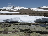 E, Avila, San Juan de Gredos, Senda de la Laguna Grande 65, Saxifraga-Willem van Kruijsbergen