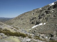 E, Avila, San Juan de Gredos, Senda de la Laguna Grande 76, Saxifraga-Willem van Kruijsbergen