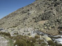 E, Avila, San Juan de Gredos, Senda de la Laguna Grande 78, Saxifraga-Willem van Kruijsbergen
