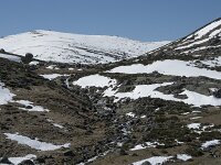 E, Avila, San Juan de Gredos, Senda de la Laguna Grande 8, Saxifraga-Willem van Kruijsbergen