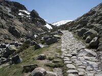 E, Avila, San Juan de Gredos, Senda de la Laguna Grande 80, Saxifraga-Willem van Kruijsbergen