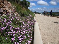 E, Badajoz, Alange 2, Saxifraga-Sytske Dijksen