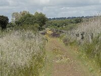 E, Badajoz, Navalvillar de Pela, Moheda Alta 13, Saxifraga-Willem van Kruijsbergen