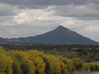 E, Badajoz, Navalvillar de Pela, Vegas Altas 7, Saxifraga-Sytske Dijksen