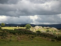 E, Badajoz, Navalvillar de Pela, Vegas Altas 8, Saxifraga-Sytske Dijksen