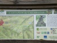 Castanar de Ibor