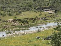 E, Caceres, Hinojal, Arroyo de Talavan 1, Saxifraga-Willem van Kruijsbergen