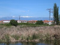 E, Caceres, Saucedilla, Arrocampo 2, Saxifraga-Sytske Dijksen