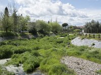 E, Caceres, Torrejon el Rubio 8, Saxifraga-Willem van Kruijsbergen