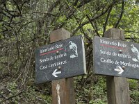 E, Caceres, Torrejon el Rubio, Castillo de Montfrague 26, Saxifraga-Willem van Kruijsbergen