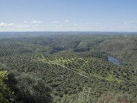 E, Caceres, Torrejon el Rubio, Castillo de Montfrague 8, Saxifraga-Willem van Kruijsbergen