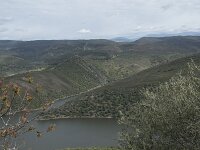 E, Caceres, Torrejon el Rubio, Castillo de Montfrague 9, Saxifraga-Willem van Kruijsbergen