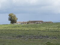 E, Caceres, Trujillo, Belen 2, Saxifraga-Willem van Kruijsbergen