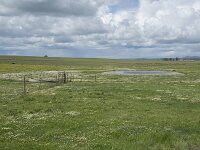 E, Caceres, Trujillo, Belen 7, Saxifraga-Willem van Kruijsbergen