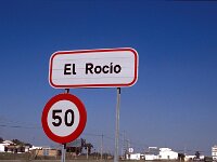 E, Huelva, Almonte, El Rocio 23, Saxifraga-Jan van der Straaten