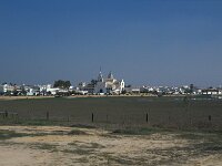 E, Huelva, Almonte, El Rocio 24, Saxifraga-Jan van der Straaten