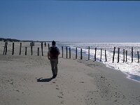 E, Huelva, Almonte, Matelascanas 28, Saxifraga-Jan van der Straaten