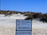 E, Huelva, Almonte, Matelascanas 29, Saxifraga-Jan van der Straaten