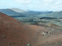 E, Las Palmas, Yaiza, Parque Nacional de Timanfaya 12, Saxifraga-Tom Heijnen