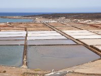 E, Las Palmas, Yaiza, Salinas de Janubio 3, Saxifraga-Tom Heijnen