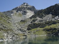 CH, Wallis, Anniviers, Rothorn 3, Saxifraga-Willem van Kruijsbergen