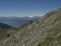 CH, Wallis, Anniviers, Schwarzhorn 4, Saxifraga-Willem van Kruijsbergen