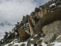 CH, Wallis, Fiesch, Eggishorn, Aletschhorn 6, Saxifraga-Willem van Kruijsbergen