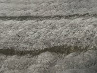 CH, Wallis, Fiesch, Eggishorn, Grosser Aletschgletscher 4, Saxifraga-Willem van Kruijsbergen