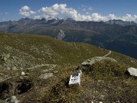 CH, Wallis, Fiesch, Fiescheralp 4, Saxifraga-Jan van der Straaten