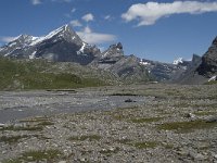 CH, Wallis, Leukerbad, Lammerenboden 18, Saxifraga-Willem van Kruijsbergen