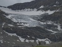 CH, Wallis, Leukerbad, Lammerengletscher 1, Saxifraga-Willem van Kruijsbergen