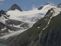 CH, Wallis, Obergoms, Nufenenpass, Griesgletscher 1, Saxifraga-Willem van Kruijsbergen