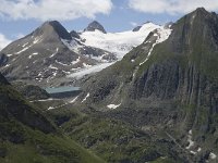 CH, Wallis, Obergoms, Nufenenpass, Griesgletscher and Faulhorn 3, Saxifraga-Willem van Kruijsbergen