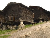 CH, Wallis, Saas Fee 5, Saxifraga-Willem van Kruijsbergen