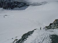 CH, Wallis, Saas Fee, Chessjengletscher 6, Saxifraga-Willem van Kruijsbergen