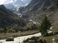 CH, Wallis, Saas Fee, Feegletscher 109, Saxifraga-Willem van Kruijsbergen