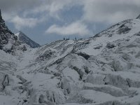 CH, Wallis, Saas Fee, Feegletscher 120, Saxifraga-Willem van Kruijsbergen