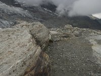 CH, Wallis, Saas Fee, Feegletscher 47, Saxifraga-Willem van Kruijsbergen